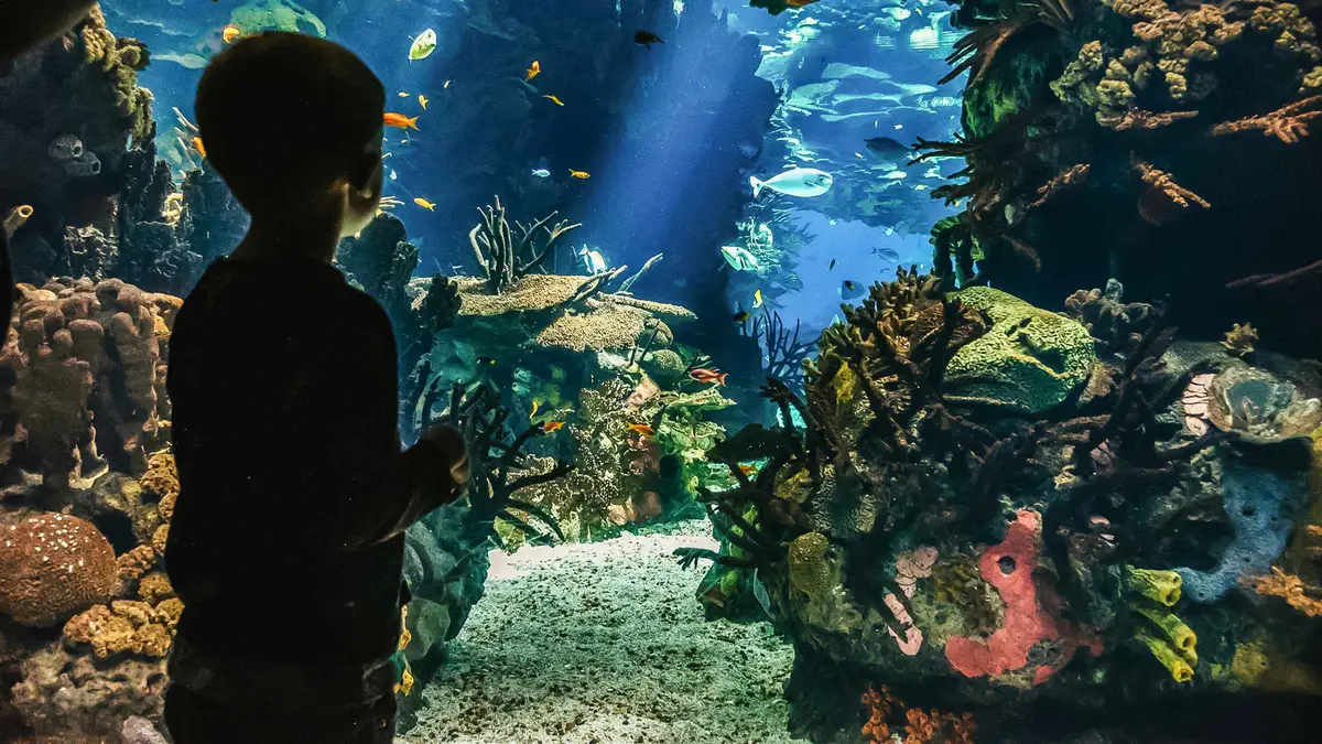 Visitors silhouetted against the central tank of the Oceanário de Lisboa in Parque das Nações, last stop on a Lisbon, Portugal must-see list